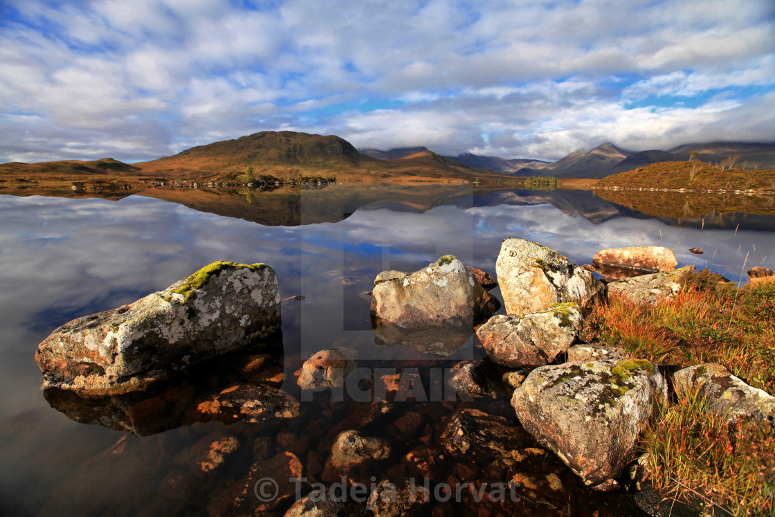 "Rannoch Moor" by Tadeja Horvat - $16.31 "Rannoch Moor" stock image