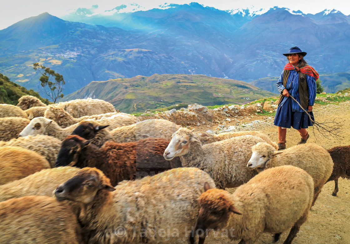 "Peruvian woman in the Andean mountains" by Tadeja Horvat - $16.31 "Peruvian woman in the Andean mountains" stock image