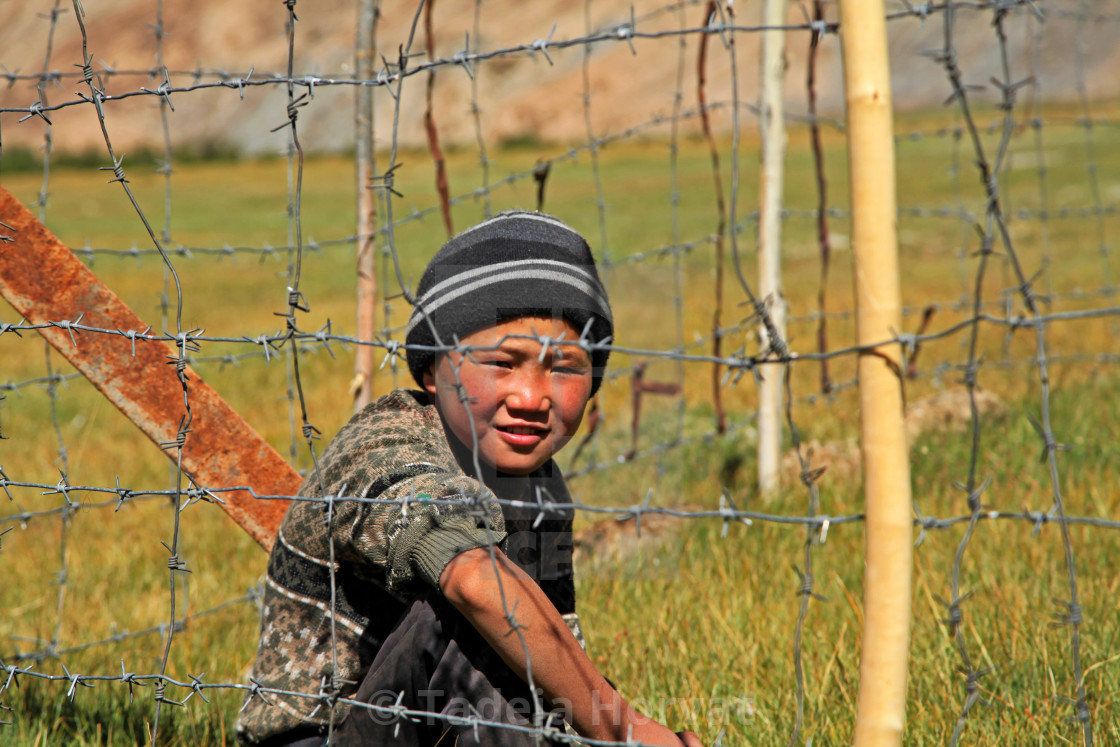 "Young Shepherd" stock image