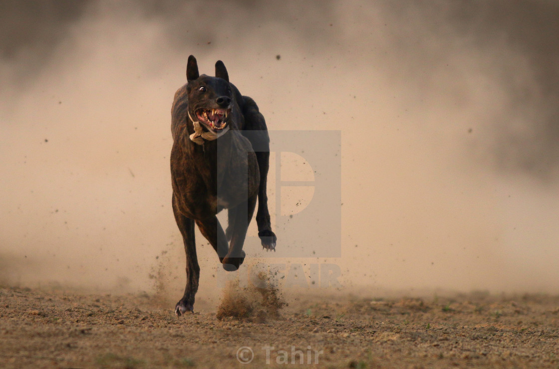 "Run" stock image