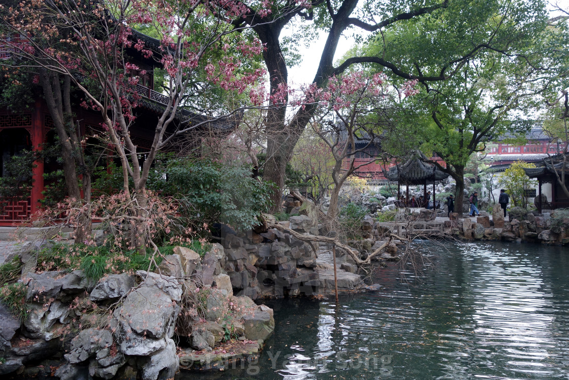 Yu Yuan Yu Garden In Shanghai China License Download Or Print For 6 19 Photos Picfair Yu Yuan Yu Garden In Shanghai China License Download Or Print For 6 19 Photos Picfair