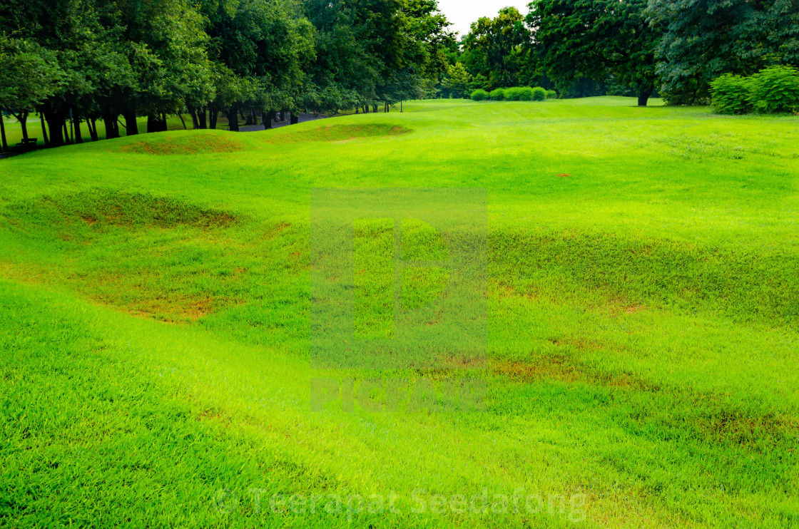 nature background of landscape green field - License, download or print for  £ | Photos | Picfair