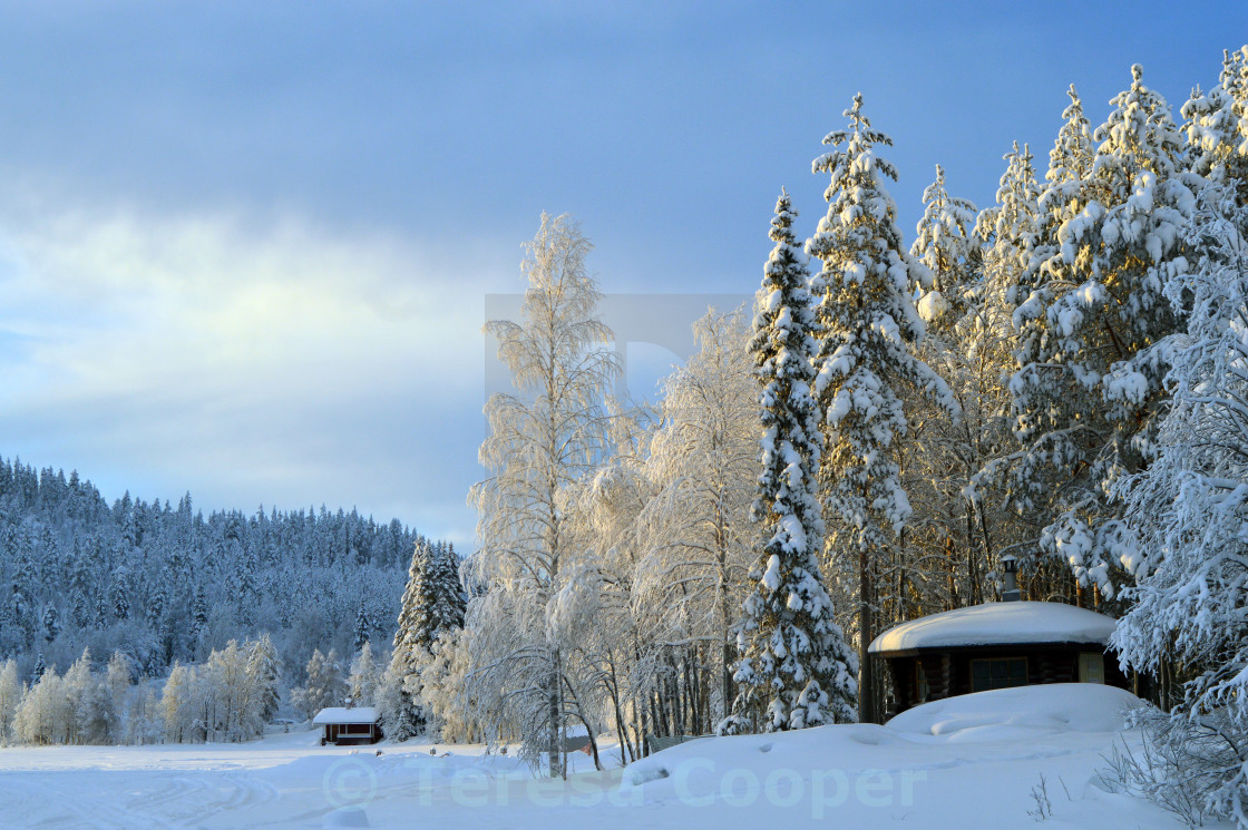 Log Cabins Line A Frozen Lake License Download Or Print For