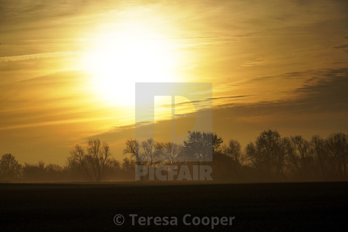 "Golden Sunrise" stock image