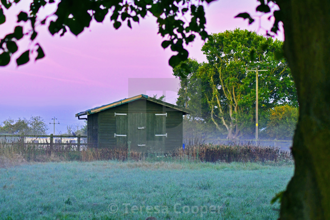 "A farmers shed framed by a tree" stock image