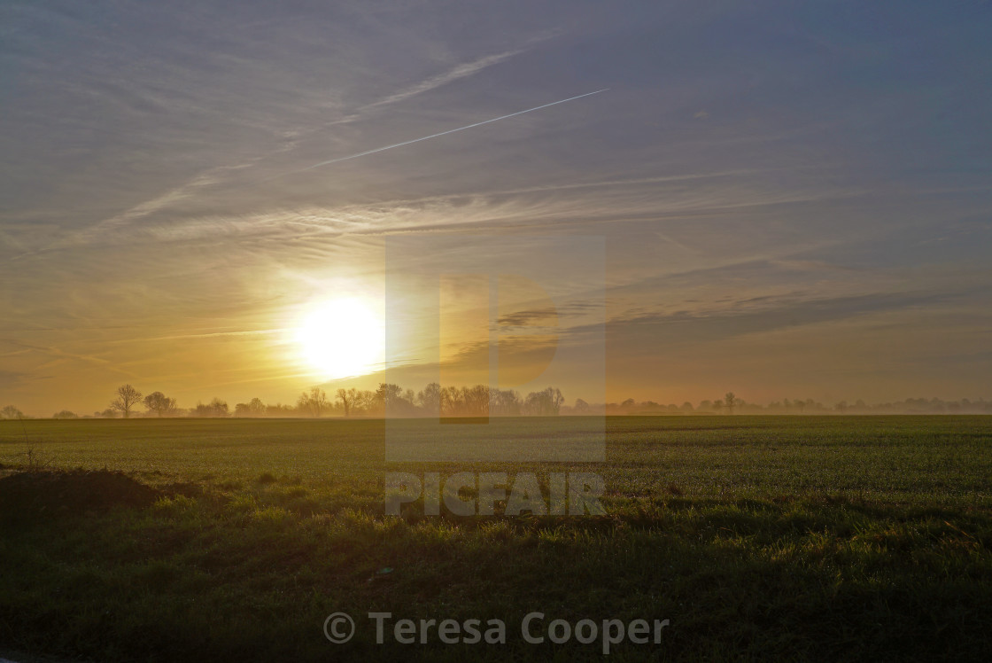 "Sun rising over the fields" stock image