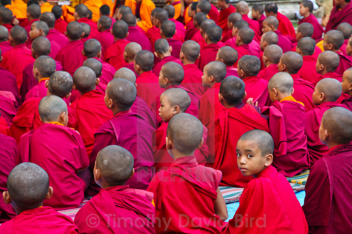 "Distracted Buddhist novice monk" stock image