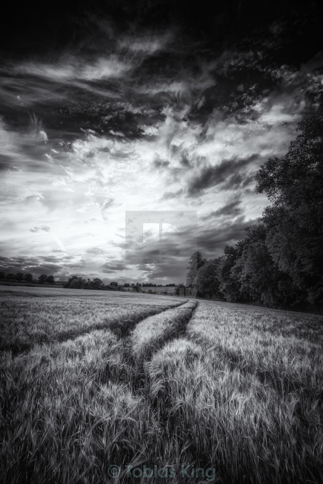 "Tracks in the Field" stock image