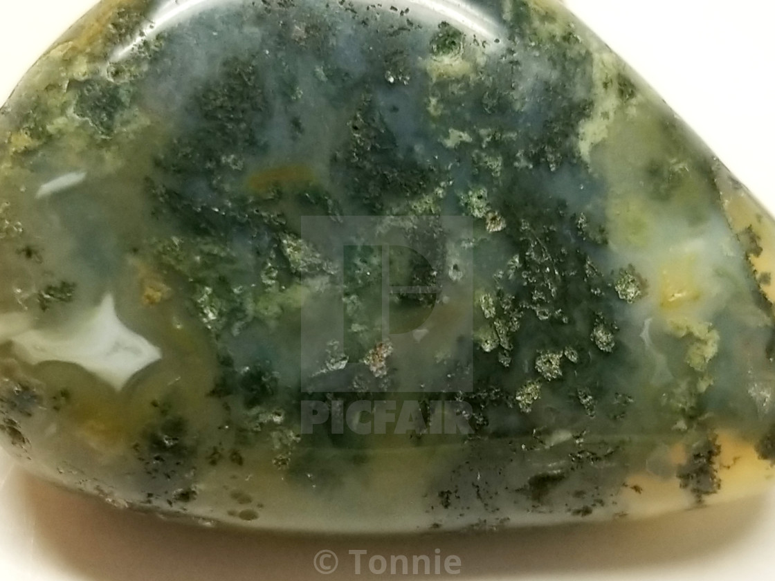 tree moss agate