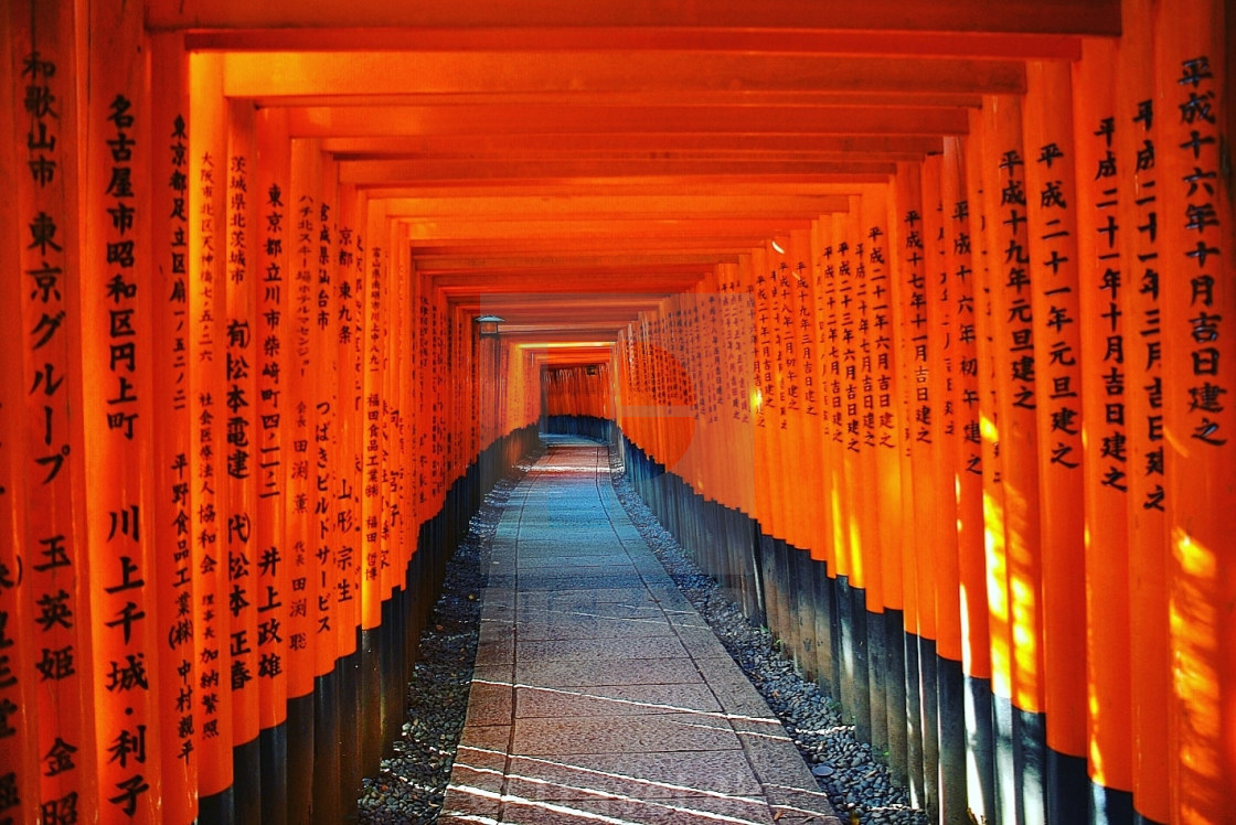 Alley Of Tori License Download Or Print For 6 Photos Picfair