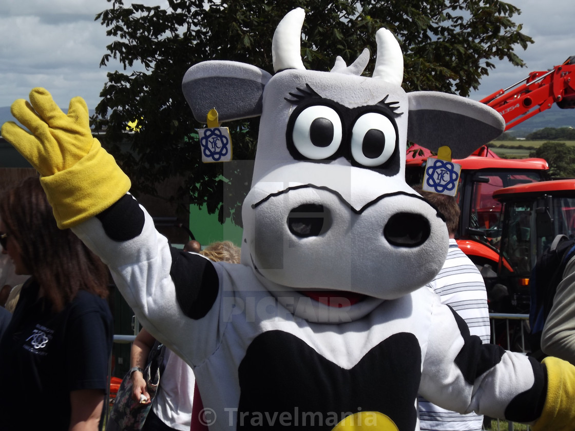 A cartoon cow - License, download or print for £ | Photos | Picfair A cartoon cow - License, download or print for £ | Photos | Picfair