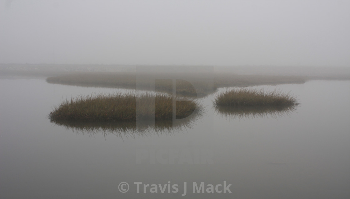 Misty Wetlands Of Anaheim Bay License Download Or Print For 5 00 Photos Picfair