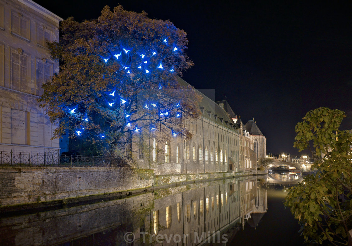 "Firefly lights in Gent" stock image