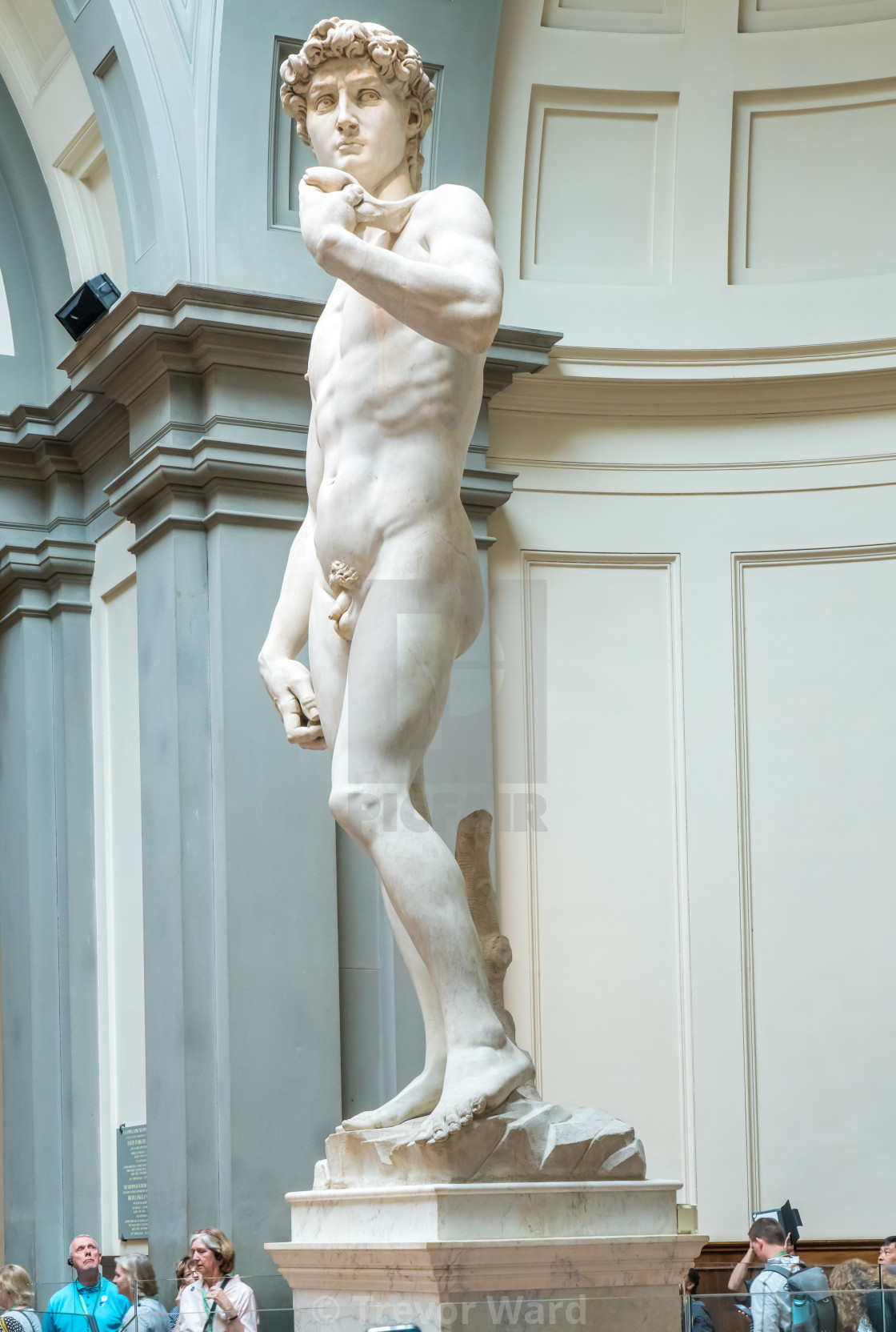The David At Galleria Dell Accademia License Download Or Print For 14 88 Photos Picfair