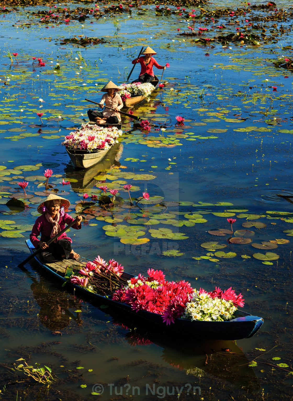 "Boat in River countryside" stock image