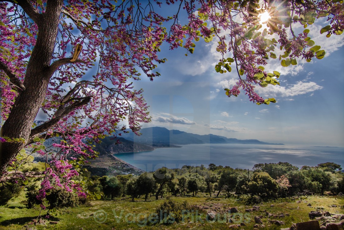 A Beautiful Spring Day License Download Or Print For