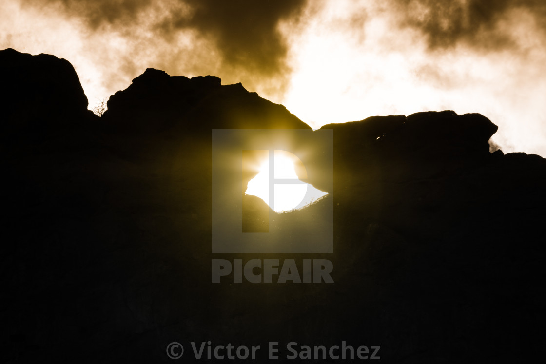 Kissing Camels Silhouette License Download Or Print For 15 14