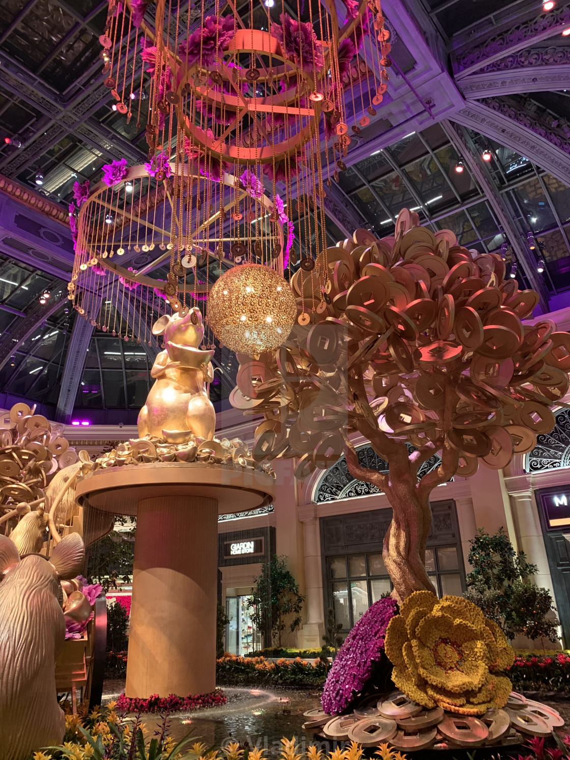 Chinese New Year 🧧 in Las Vegas, Nevada - License, download or