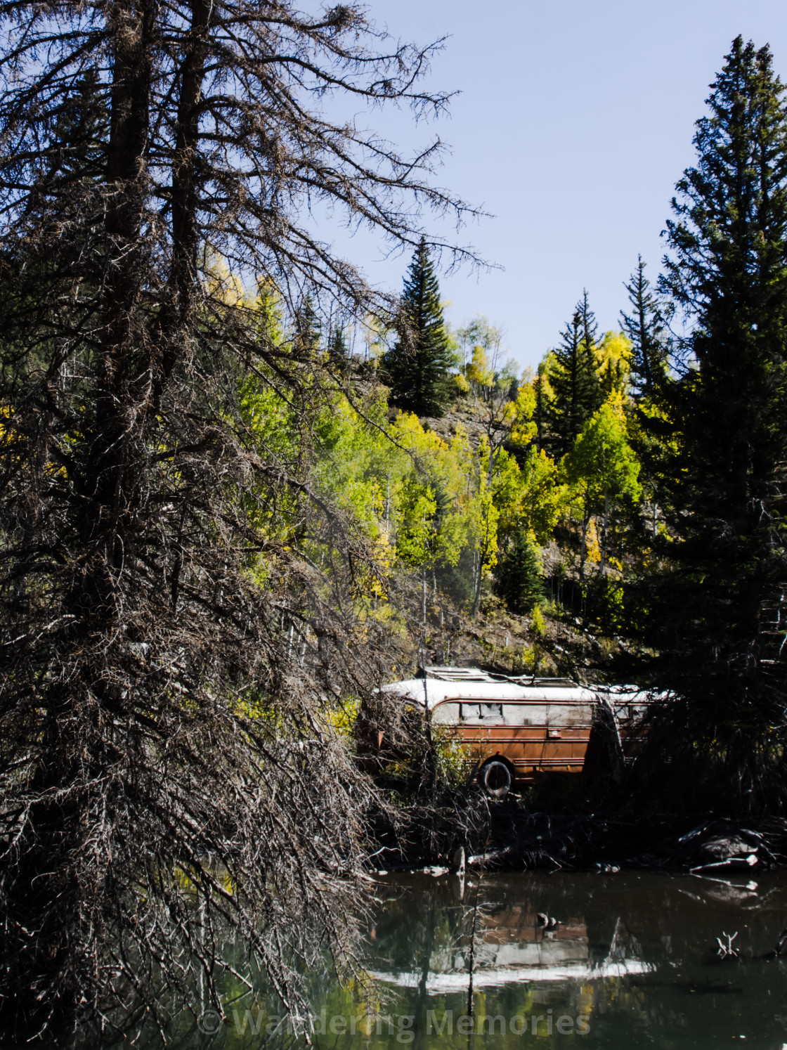 Abandoned Bus License Download Or Print For 6 27