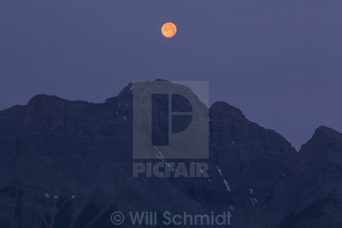 "Morning Sunlight on Setting Full Moon" stock image