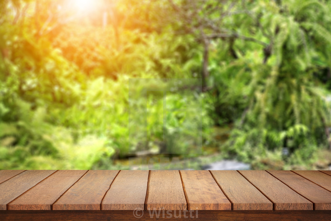 Full Hd Garden Background Hd 3655x2436 Download Hd Wallpaper Wallpapertip