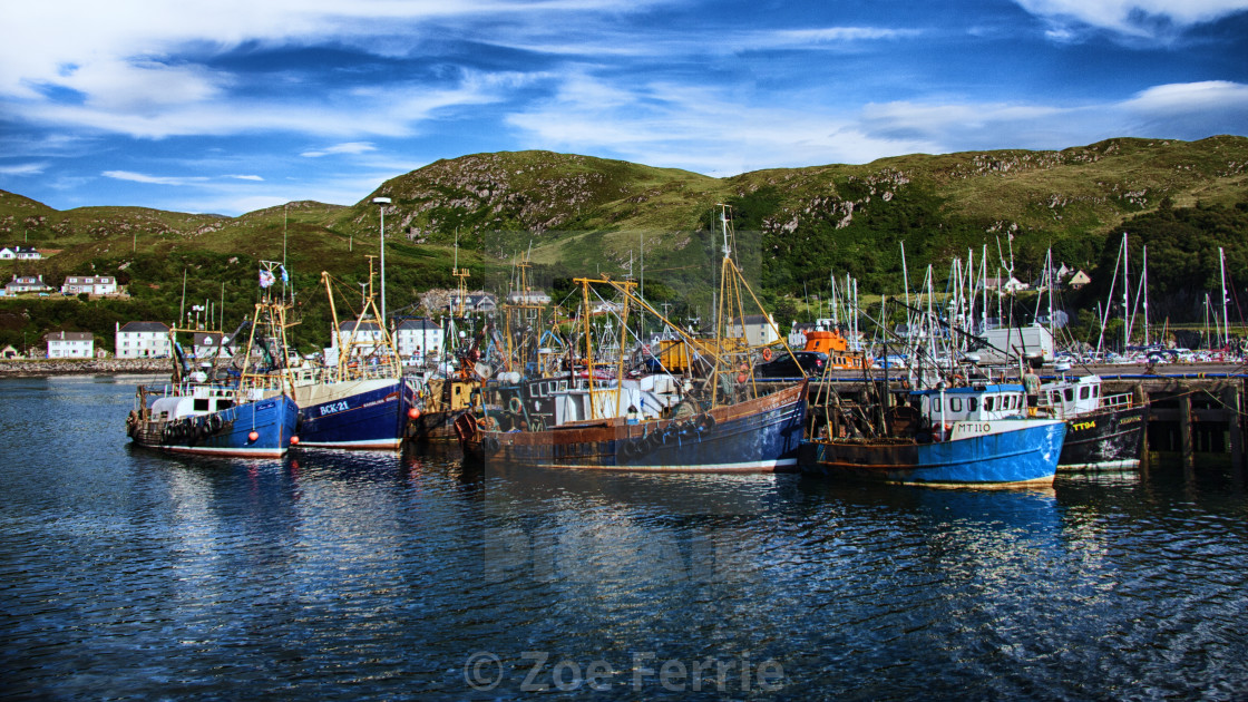 "Mallaig Harbour in Scotland" stock image