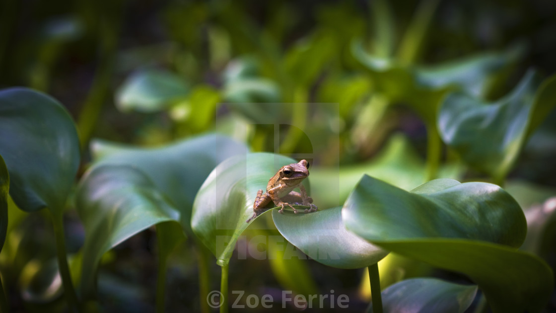 "Patience" stock image