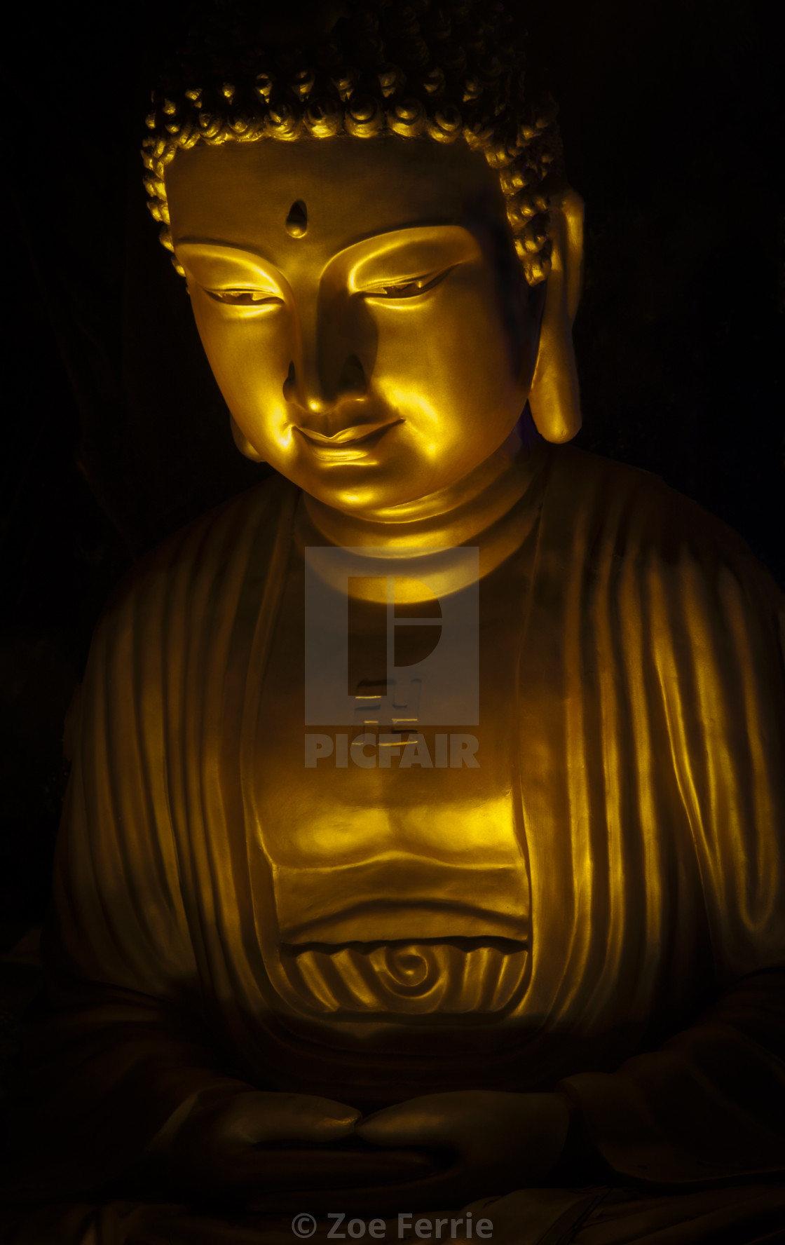 "Buddha" stock image