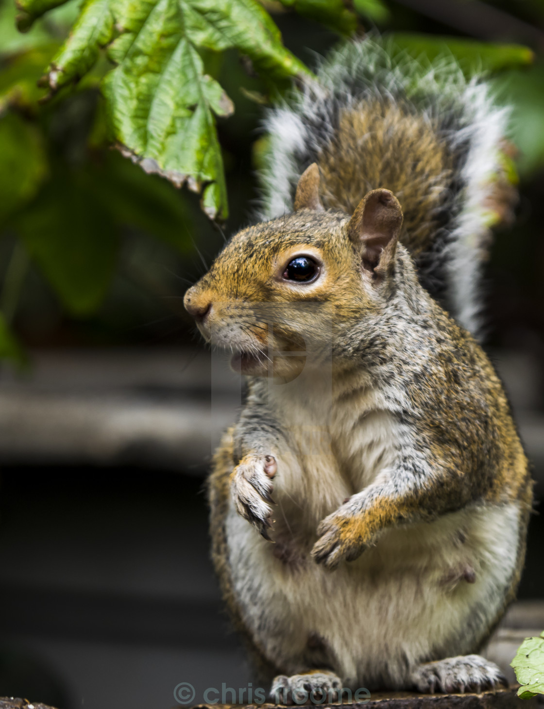 "Paying attention" stock image