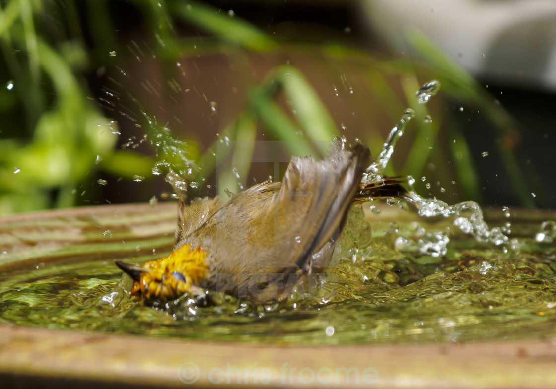 "in the bath" stock image