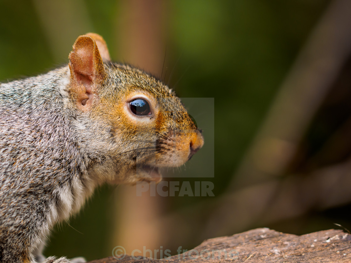 "What?" stock image