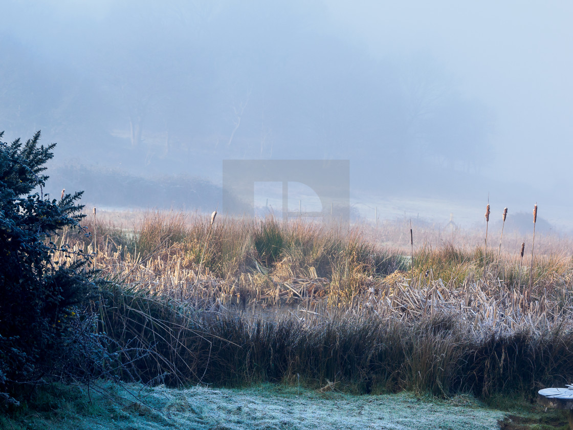 "Frost,sun and fog" stock image