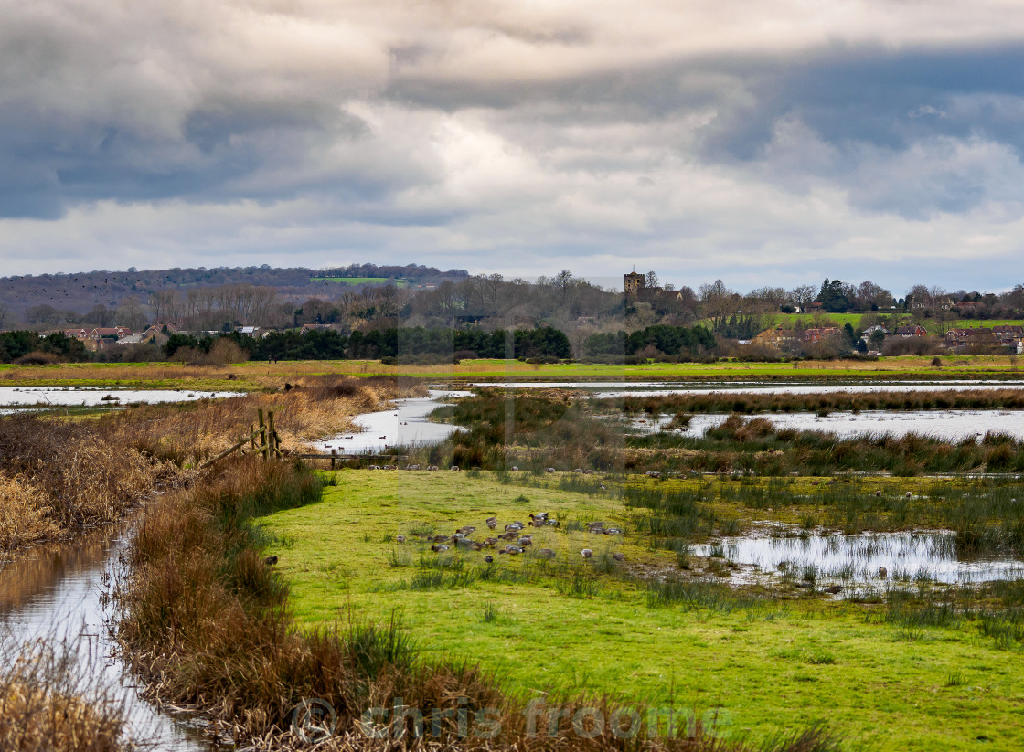 "wetlands" stock image