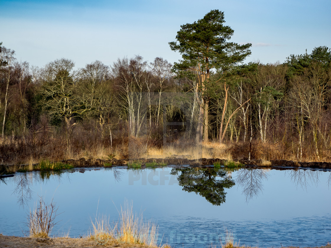 "Crisp morning" stock image