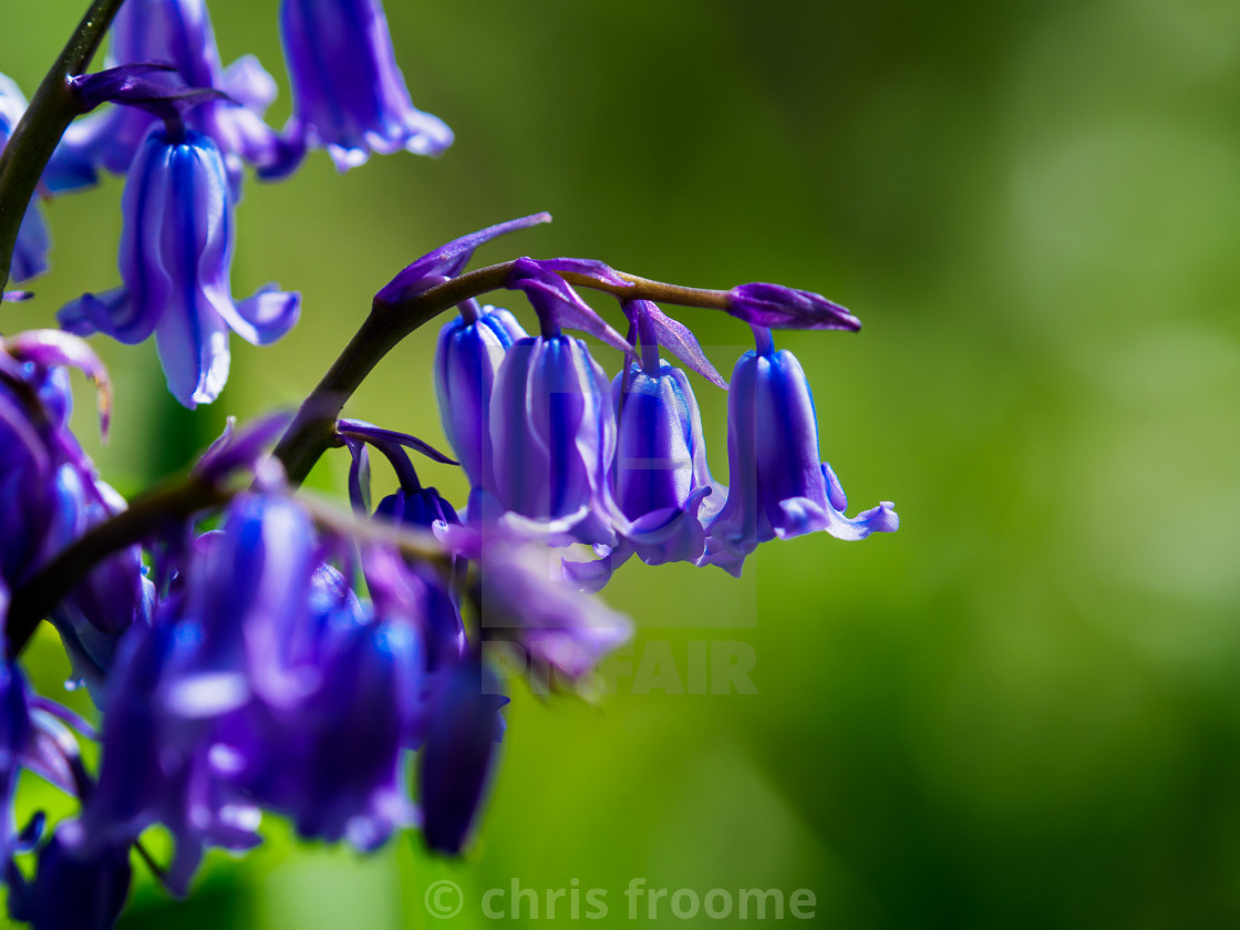 "Spring" stock image