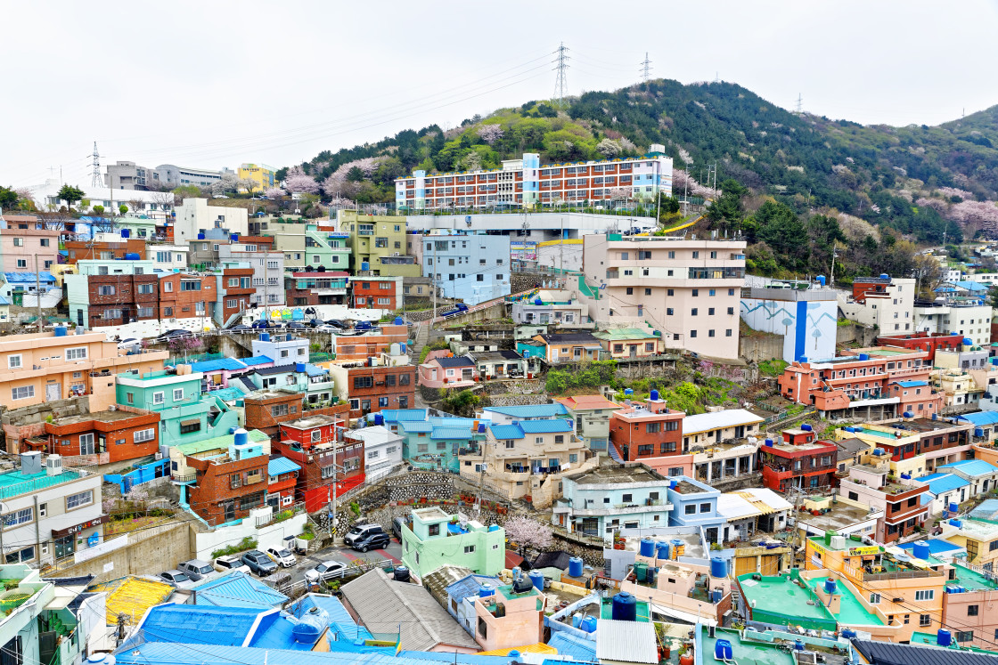 Gamcheon Culture Village In South Korea License Download Or