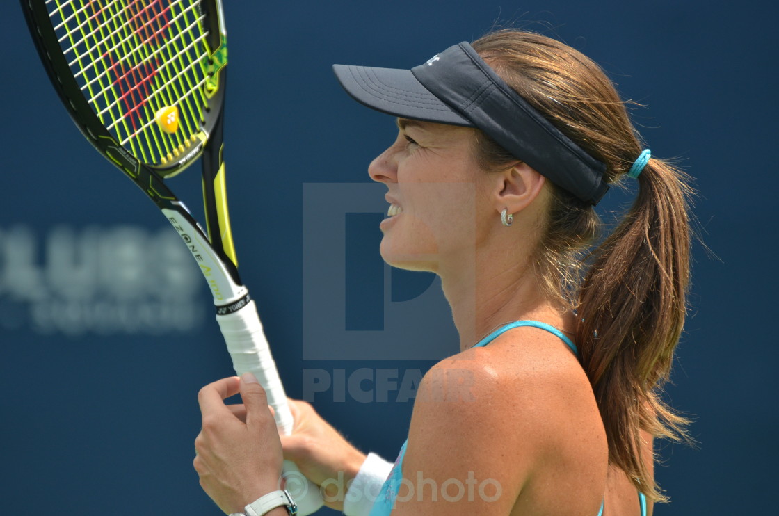 "Martina Hingis" stock image