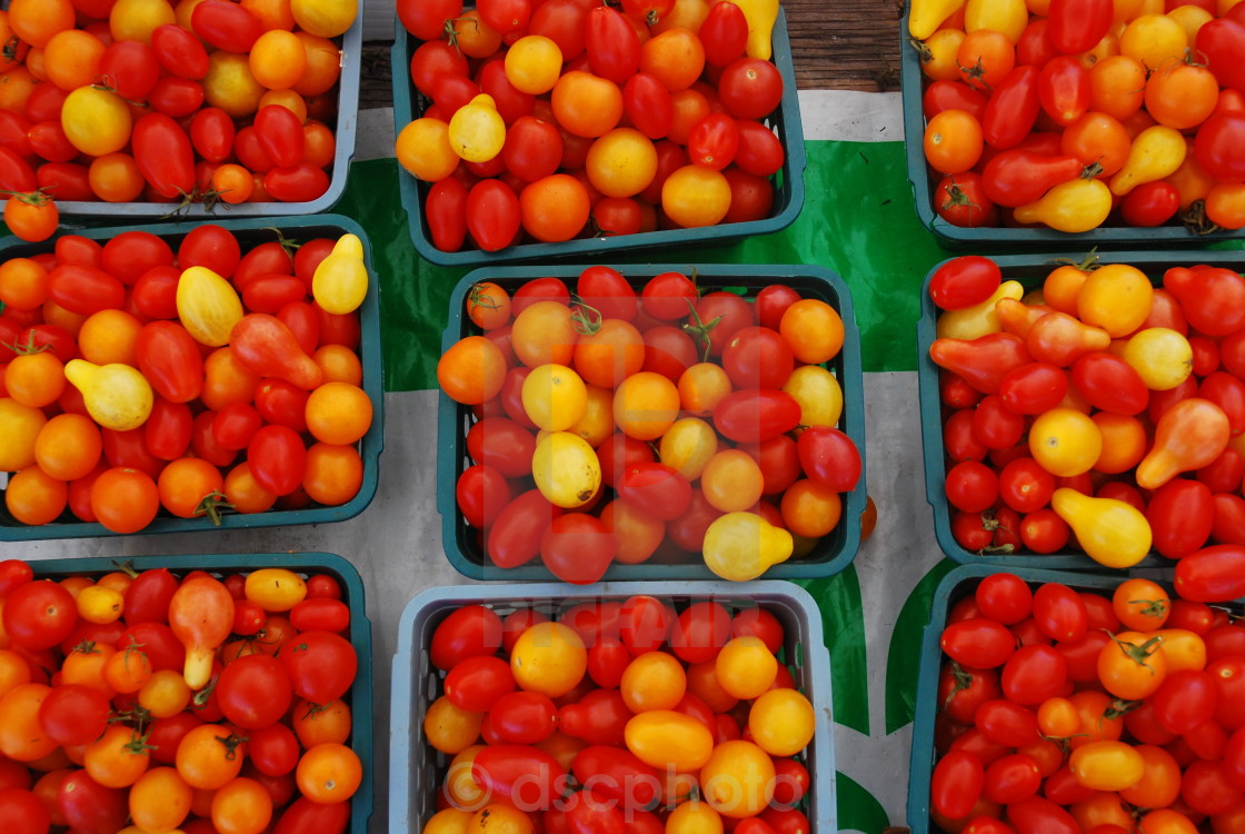 "Tomatoes" stock image