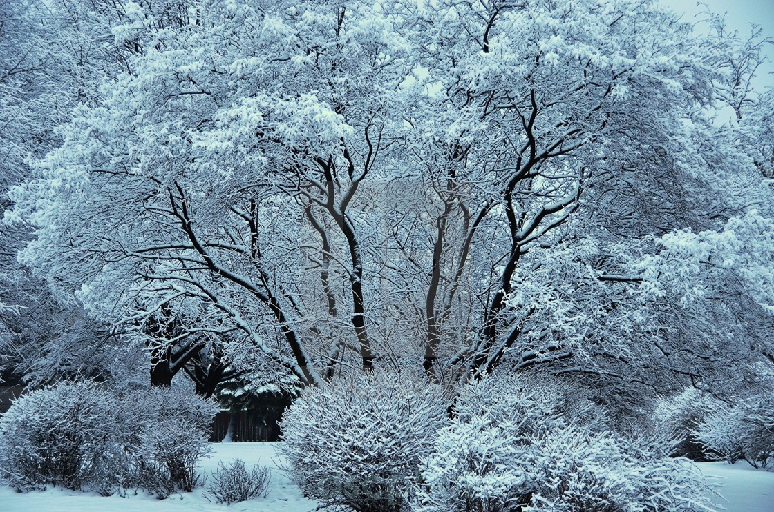 "Winter Wonderland" stock image