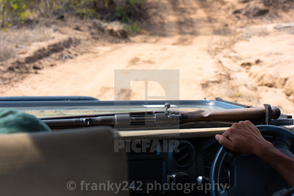 safari guide driving with his rifle in