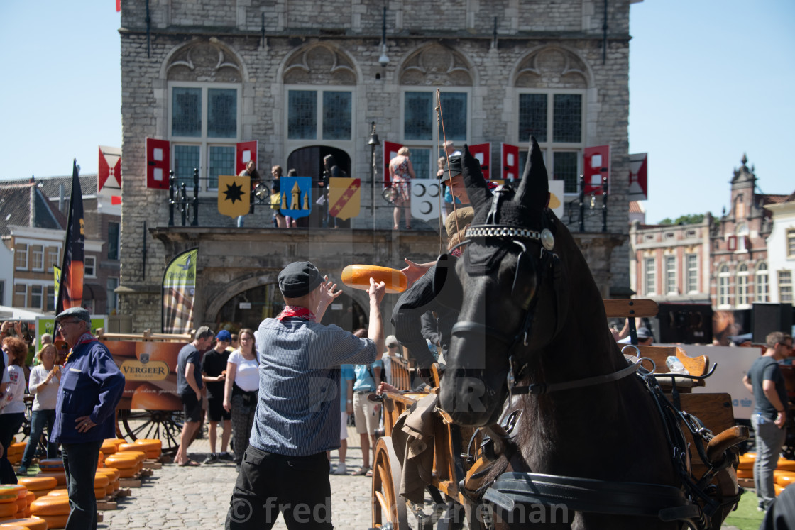 "Dutch Cheese market in of City Alkmaar" stock image