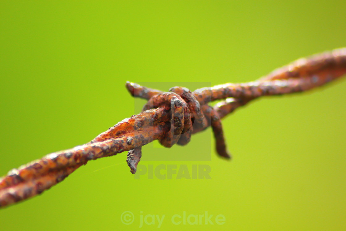 "tying the knot" by jay clarke - $7.73 "tying the knot" stock image
