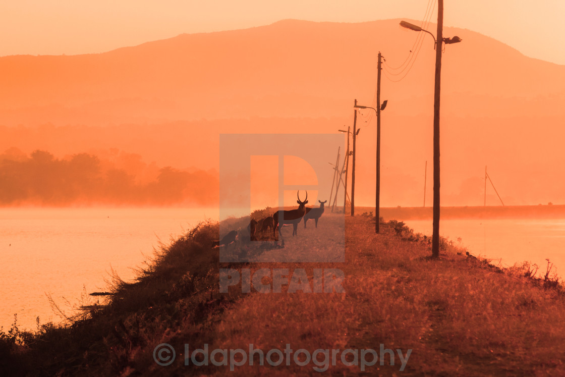 "Man Made Environment" stock image