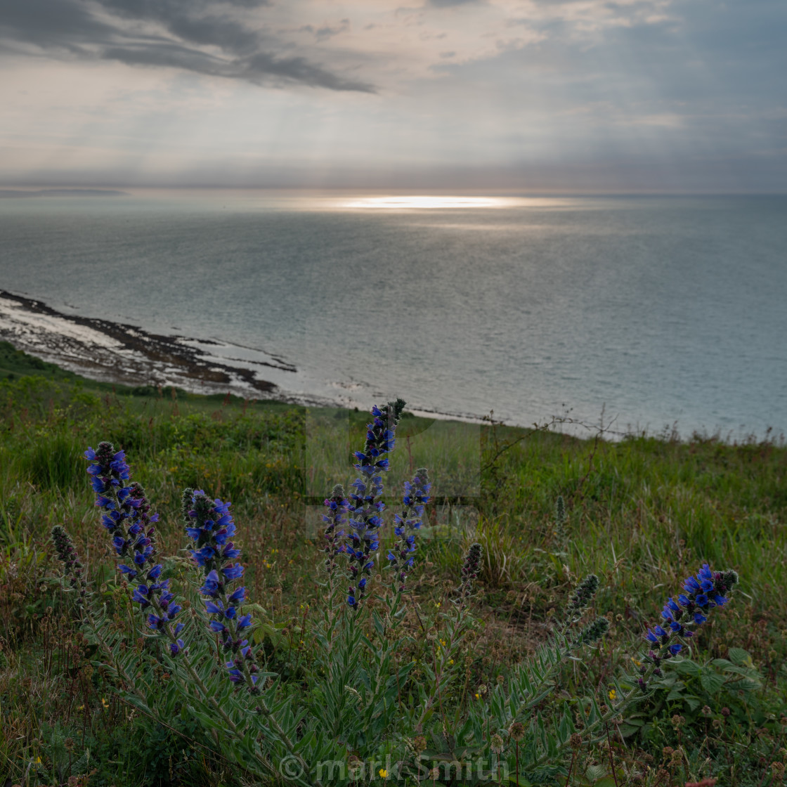 "Sunburst at Sea" stock image