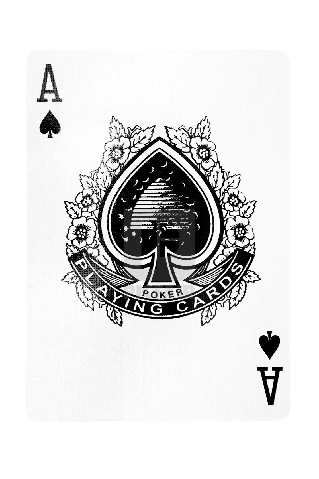 Ace Of Spades With Clipping Path License Download Or Print For 11 16 Photos Picfair