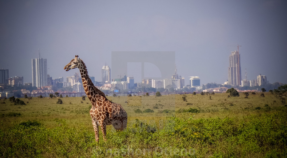 "Nature" stock image