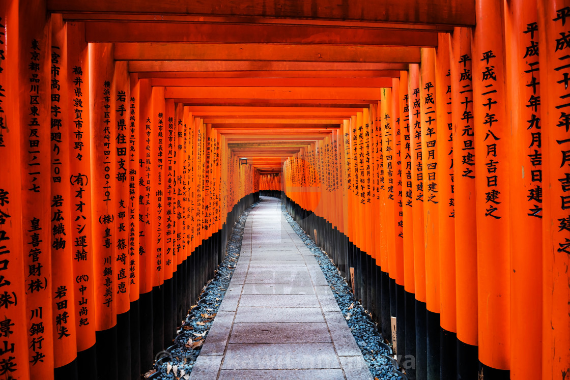Torii Gates At Fushimi Inari Kyoto License Download Or Print For 12 40 Photos Picfair Torii Gates At Fushimi Inari Kyoto License Download Or Print For 12 40 Photos Picfair