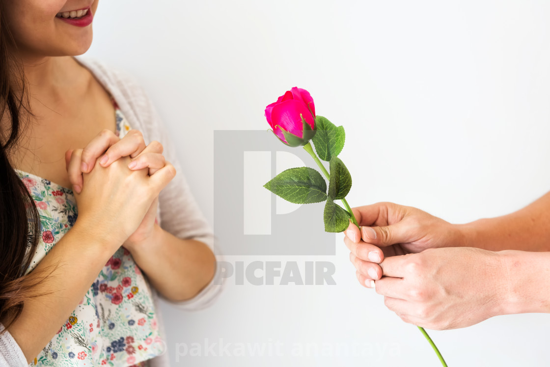 Man Hand Giving Pink Rose To Girlfriend License Download Or