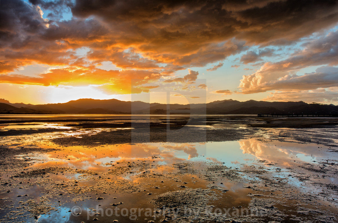 "golden hour at Matarangi" by photography by Roxanne - $21.75 "golden hour at Matarangi" stock image