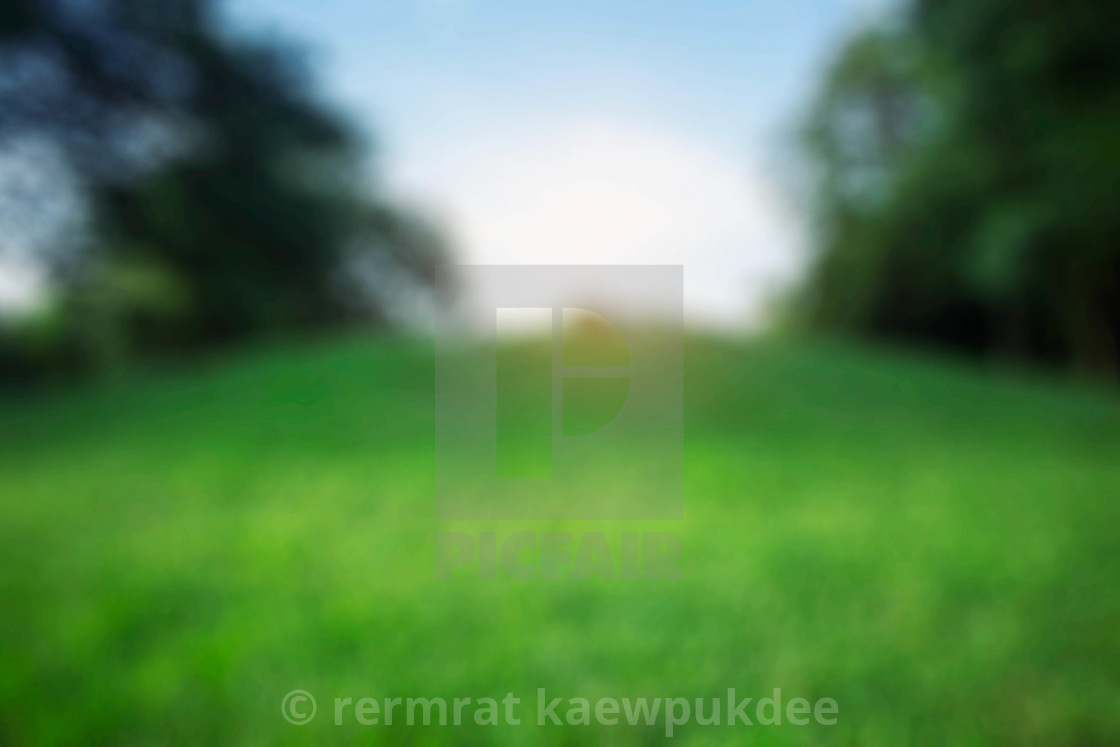 garden with blurred background. - License, download or print for £ |  Photos | Picfair